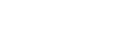 giz 1